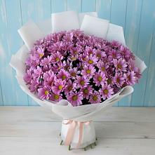 Букет цветов из:  Хризантемы в Дзержинском