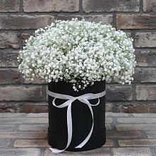 Цветочная композиция из Гипсофила в шляпной коробке в Дзержинском