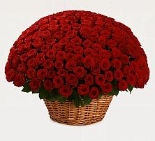 Премиум букет из: Розы #REPLACE_PRED# Дзержинском